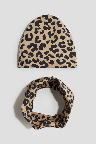 H&m Kids' 2-piece Beanie And Tube Scarf Set In Brown