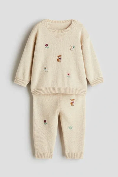 H&m Babies'  2-piece Embroidery-detail Cotton Set In Brown