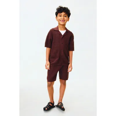 H&m Kids'  2-piece Pointelle-knit Cotton Set In Brown
