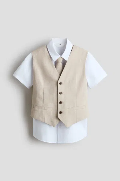 H&m Kids' 3-piece Dressy Set In Brown