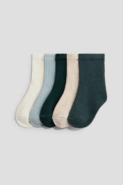 H&m Babies' 5-pack Socks In Animal Print