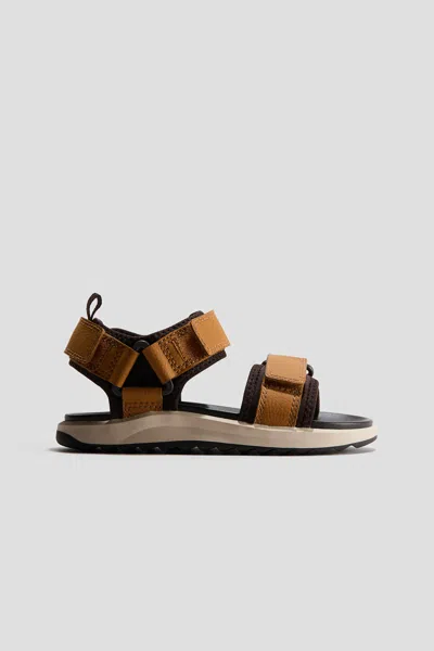 H&m Kids' Ankle-strap Sandals In Brown