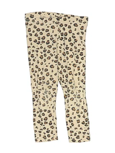 Pre-owned H&m Kids' Casual Pants In Brown