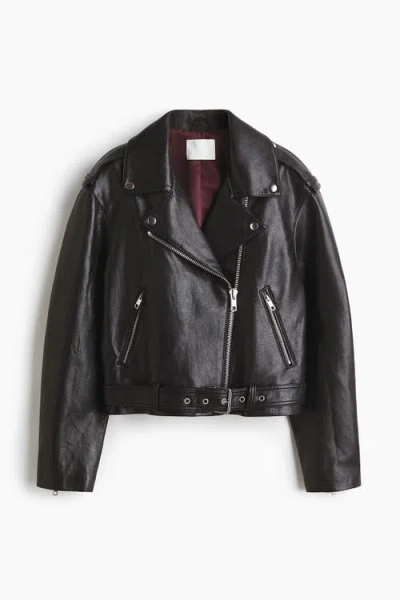 H&m Coated Biker Jacket In Black