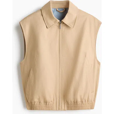 H&m Collared Cotton Gilet In Brown