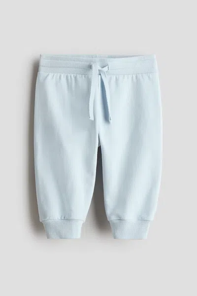 H&m Cotton Sweatpants In Light Blue