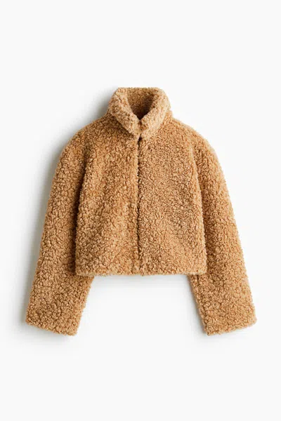H&m Cropped Teddy Fleece Jacket In Brown