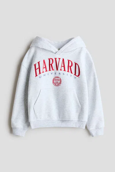 H&m Kids' Embroidered Hoodie In Gray