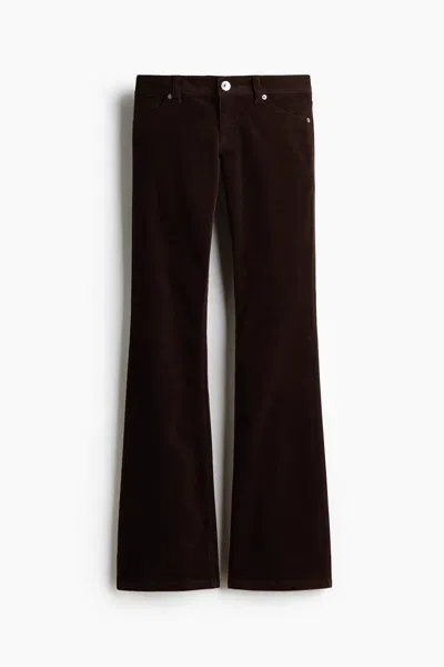 H&m Flared Pants In Brown