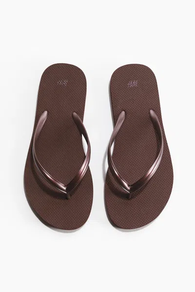 H&m Flip-flops In Brown
