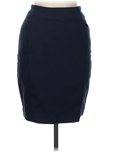 Pre-owned H&m Formal Skirt In Blue