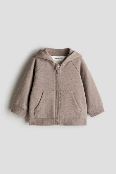 H&m Babies' Hooded Jacket In Brown