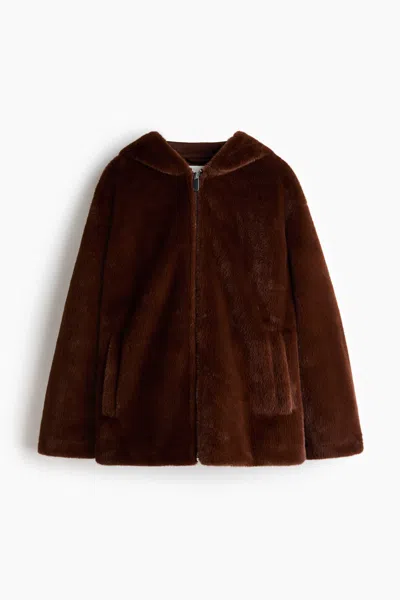 H&m Hooded Jacket In Brown