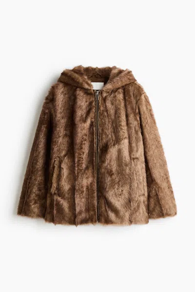 H&m Hooded Jacket In Brown