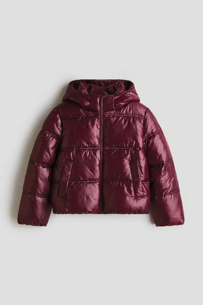 H&m Kids' Hooded Puffer Jacket In Burgundy