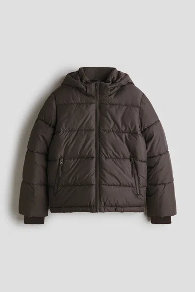 H&m Kids' Hooded Puffer Jacket In Brown