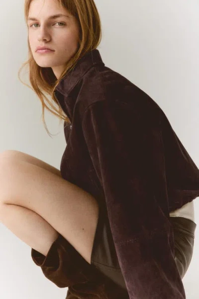 H&m Jacket With Collar In Brown