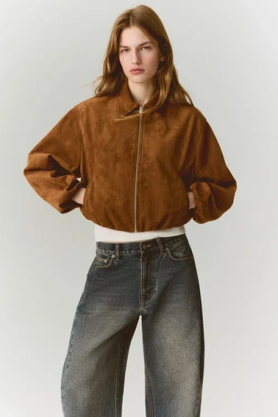 H&m Jacket With Collar In Brown