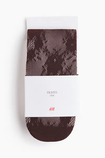 H&m Lace Tights In Brown