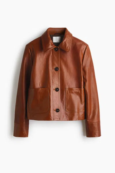 H&m Leather Jacket In Brown