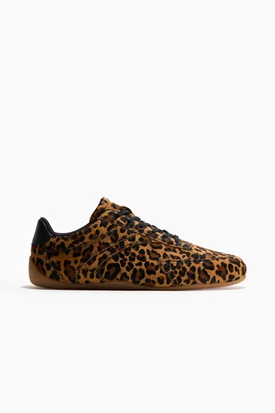 H&m Leather Sneakers In Brown