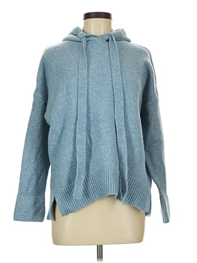 Pre-owned H&m L.o.g.g. Pullover Hoodie In Blue
