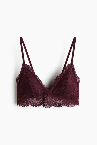 H&m Padded Soft-cup Lace Bra In Burgundy