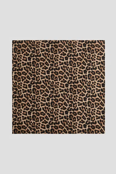 H&m Kids' Printed Cotton Scarf In Brown