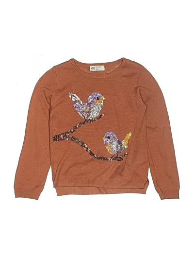 Pre-owned H&m Kids' Pullover Sweater In Brown