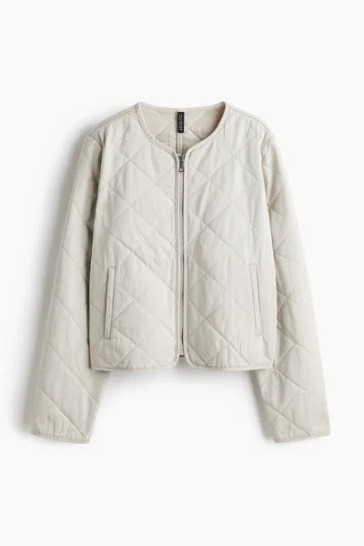 H&m Quilted Cotton Jacket In Light Taupe