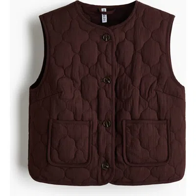 H&m Quilted Gilet In Brown
