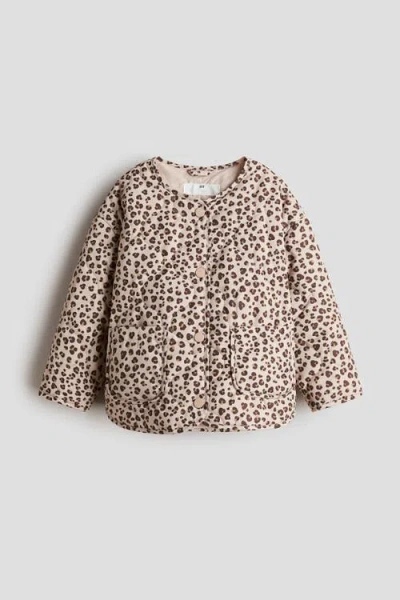 H&m Kids'  Quilted Jacket In Brown