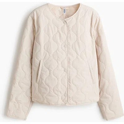 H&m Quilted Nylon Jacket In Brown