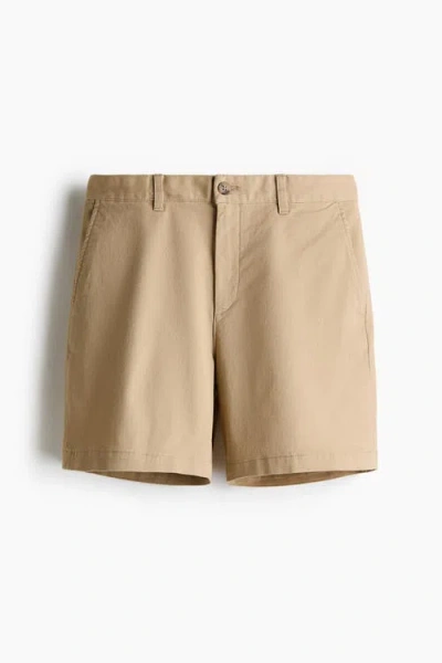 H&m Regular Fit Cotton Chino Shorts In Brown