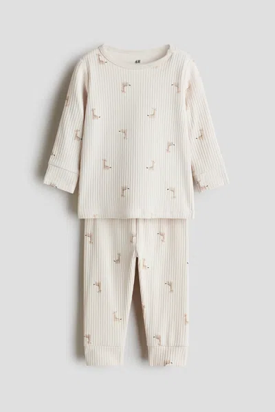 H&m Kids' Ribbed Cotton Set In Multi