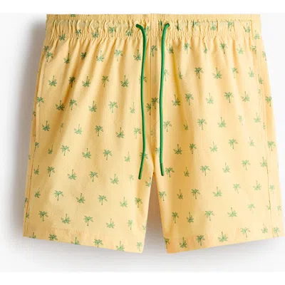 H&m Seersucker Swim Shorts In Brown