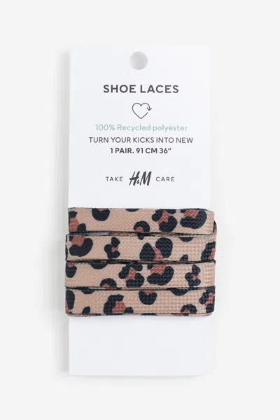 H&m Shoe Laces In Beige/leopard Print