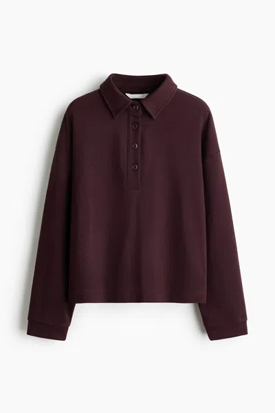 H&m Sweatshirt With Collar In Burgundy