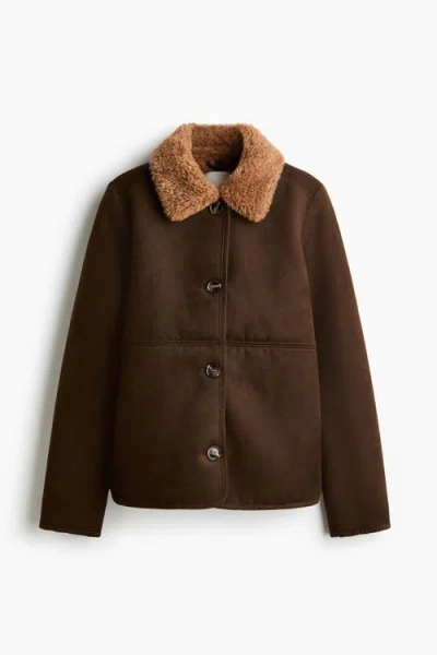 H&m Teddy-collared Jacket In Brown