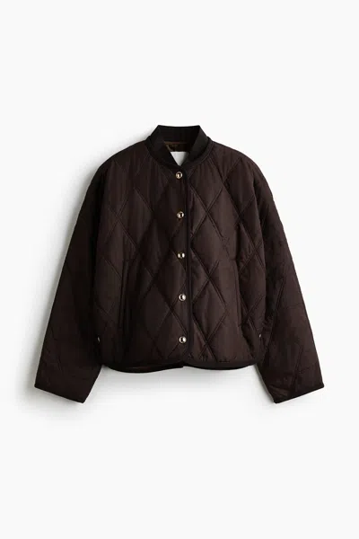 H&m Thermolite Quilted Jacket In Brown