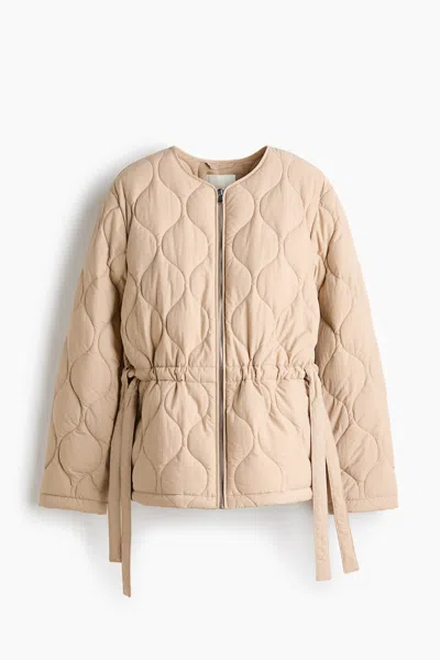H&m Thermolite Quilted Jacket In Multi