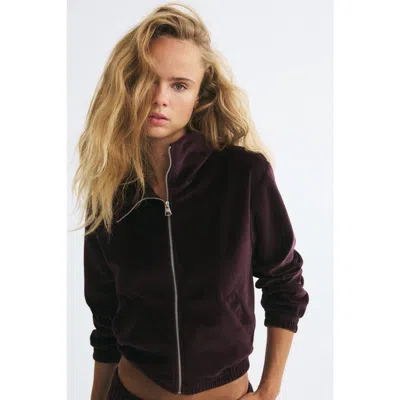 H&m Velour Sweatshirt Jacket In Purple