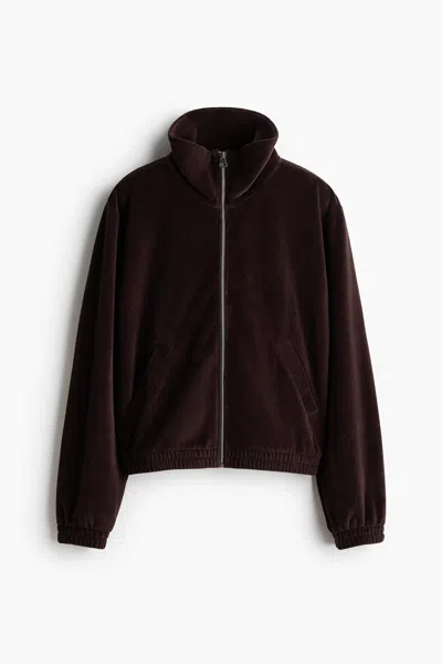 H&m Velour Track Jacket In Brown