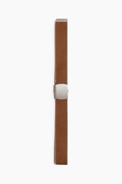 H&m Web Belt In Brown