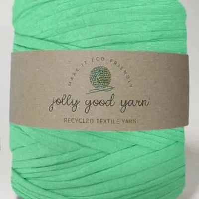 Haberdashery T-shirt Yarn Light Mint Green