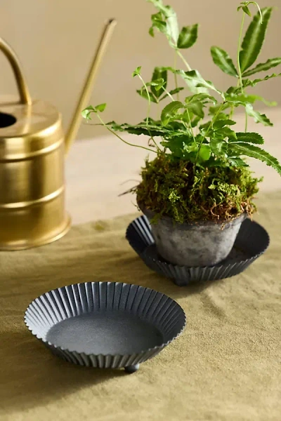 Habit & Form Tart Plant Trays, Set Of 2 Black