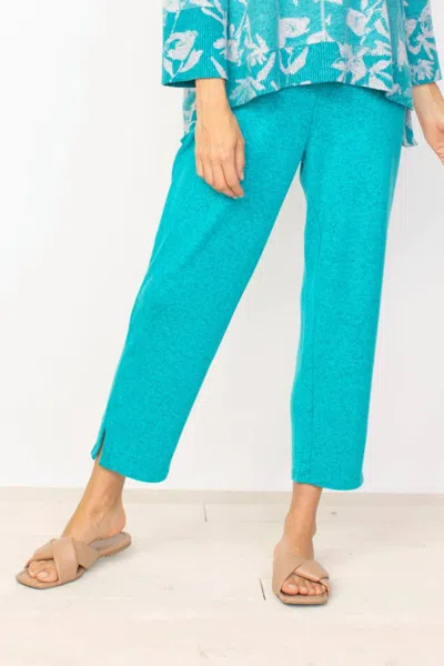 Habitat Fleece Knit Pants In Lake In Blue