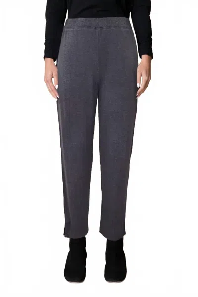 Habitat Supersoft Fleece Reset Pants In Iron