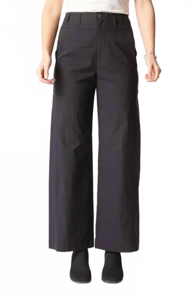 Habitat Travel Tech Urban Pants In Black In Blue