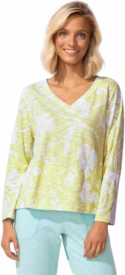 Habitat Women's Peruvian Cotton Vintage Scroll Hi-lo Tee In Kiwi In Multi